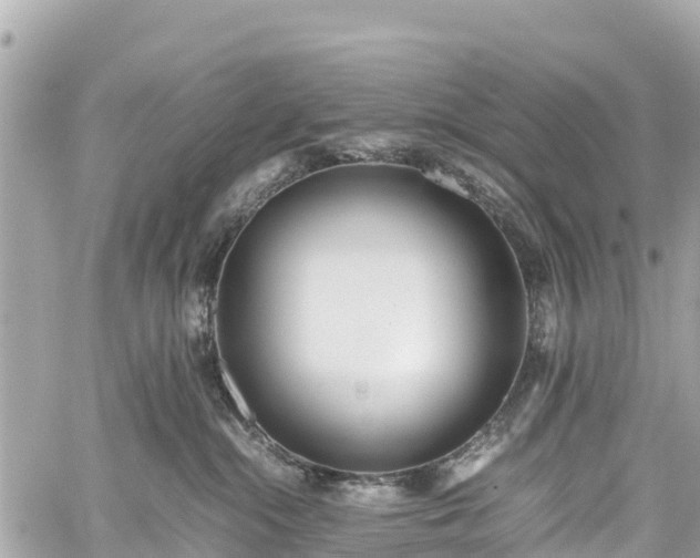 X0000059830284200510241429