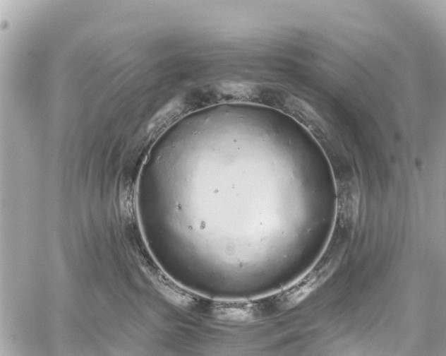 X0000059830285200510241429