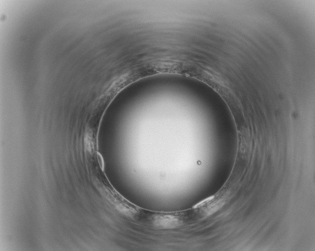 X0000059830287200510241429