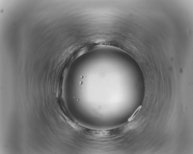 X0000059830288200510241429