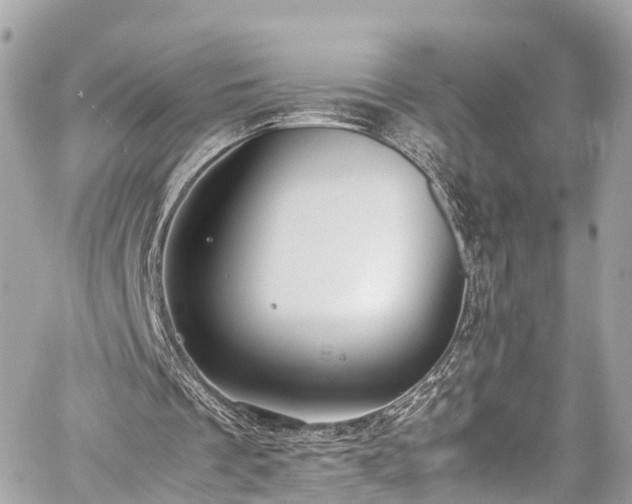 X0000059830289200510241428