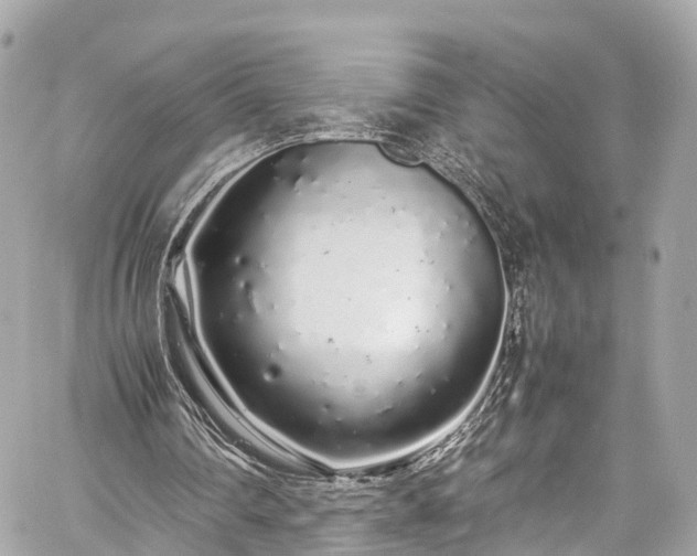 X0000059830290200510241428