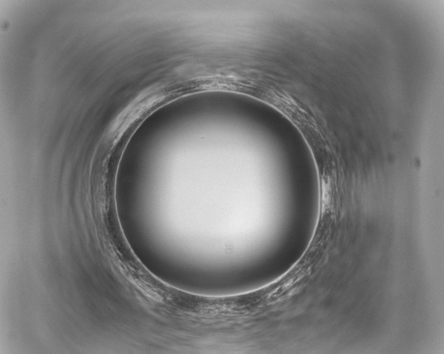 X0000059830291200510241428