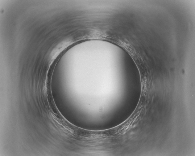 X0000059830292200510241428