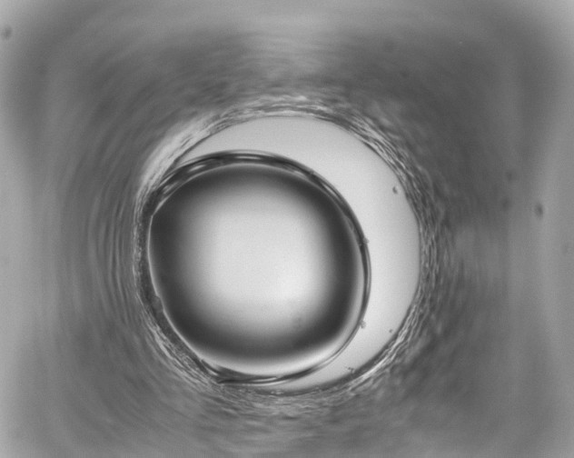 X0000059830293200510241428