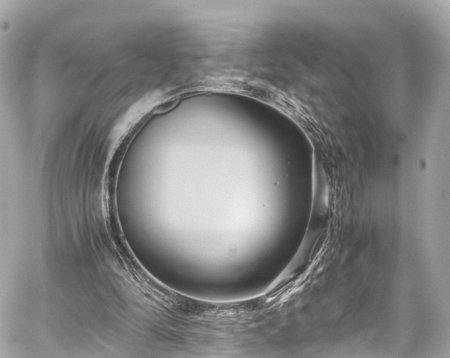 X0000059830294200510241428