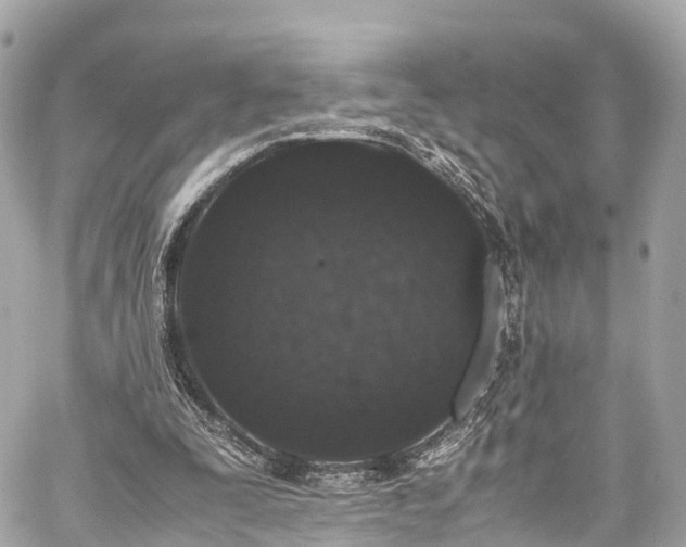 X0000059830295200510241428