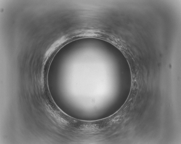 X0000059830296200510241428