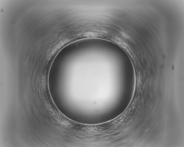 X0000059830297200510241428