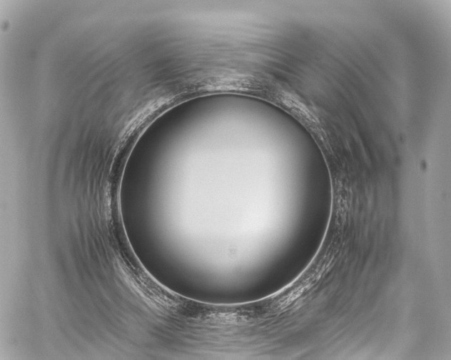 X0000059830298200510241428