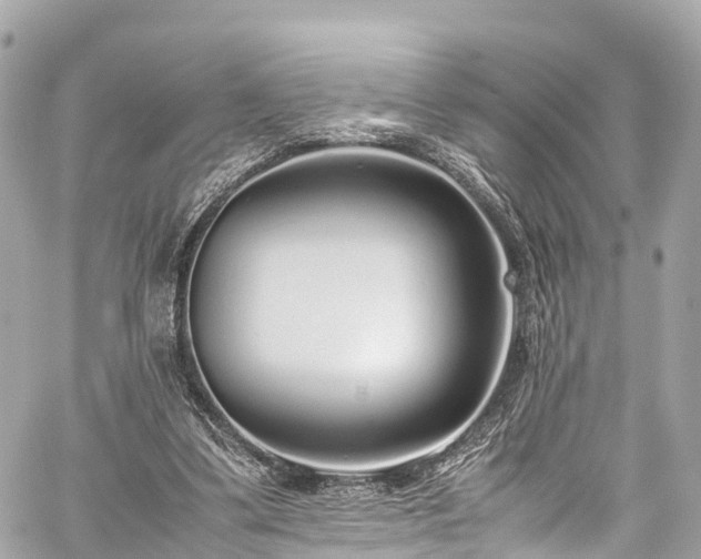 X0000059830299200510241428