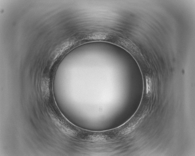 X0000059830300200510241428