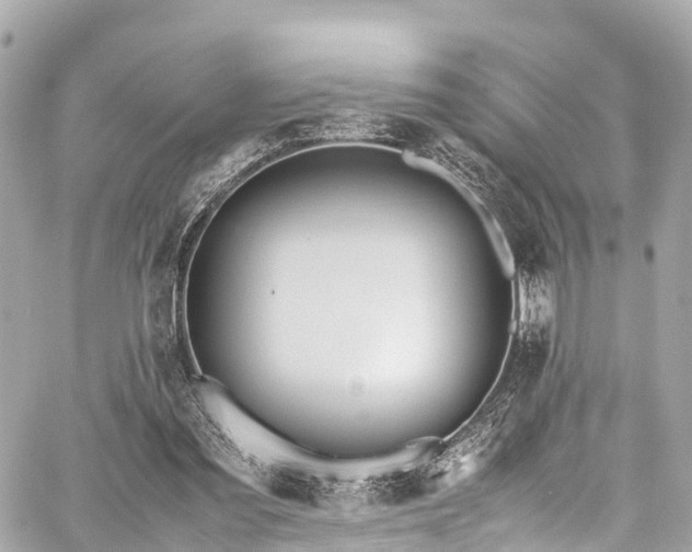 X0000059830301200510241428