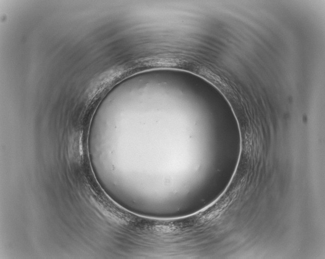 X0000059830302200510241428