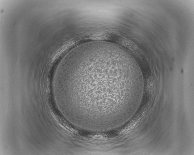 X0000059830303200510241428