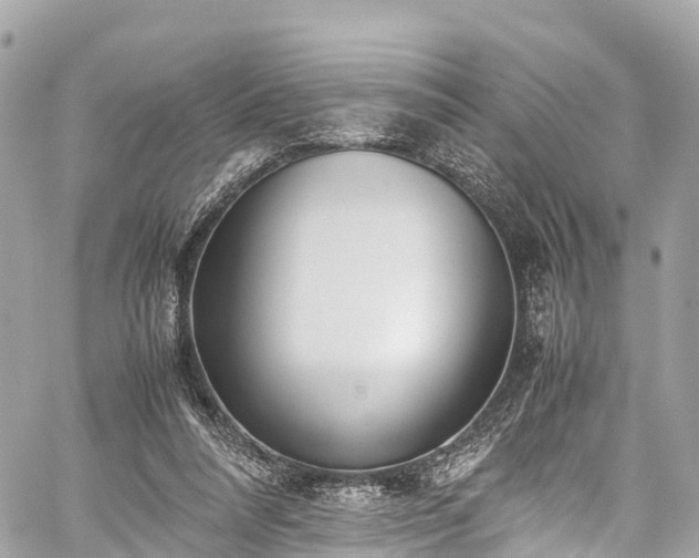 X0000059830304200510241428