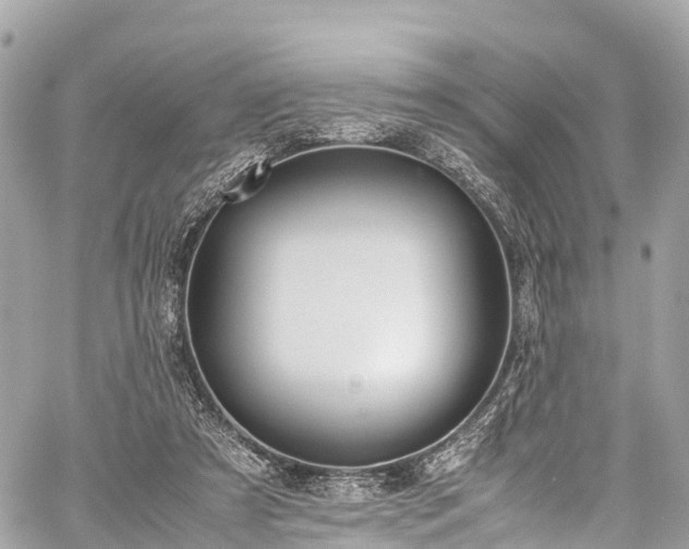 X0000059830305200510241428