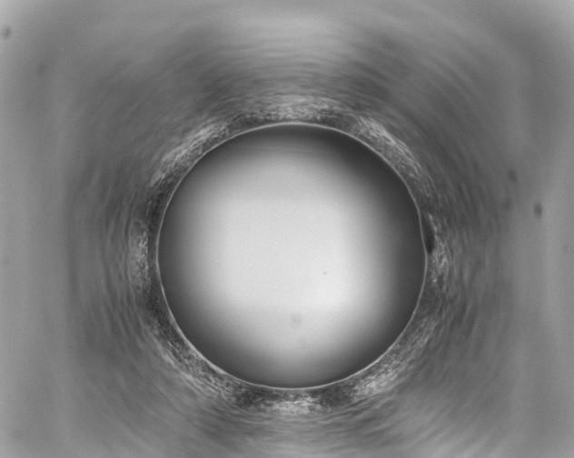 X0000059830306200510241428