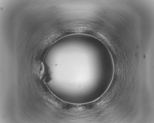 X0000059830307200510241428