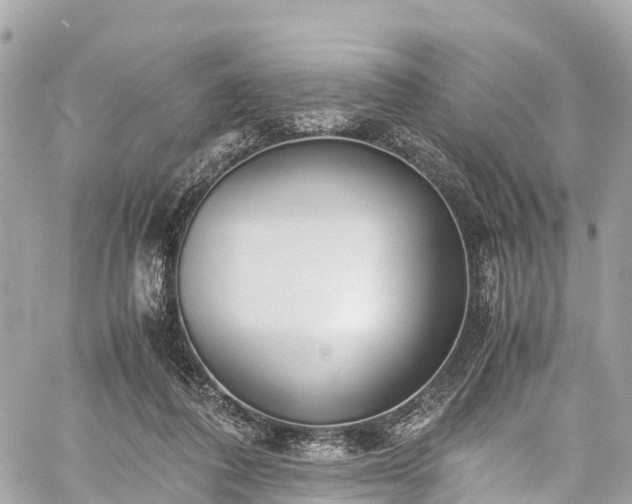 X0000059830308200510241428