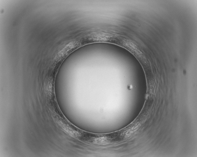 X0000059830309200510241428