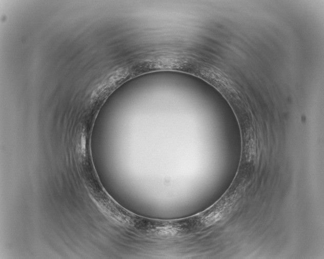 X0000059830310200510241428