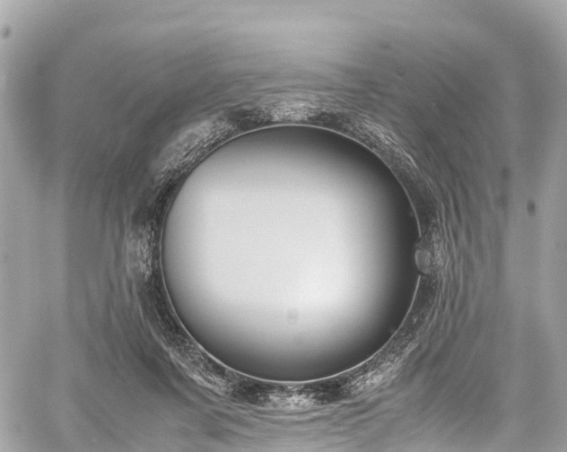 X0000059830311200510241428