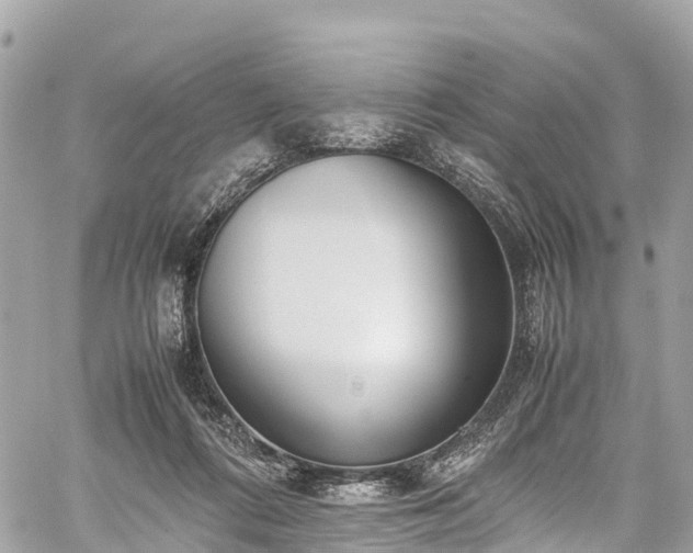 X0000059830312200510241428