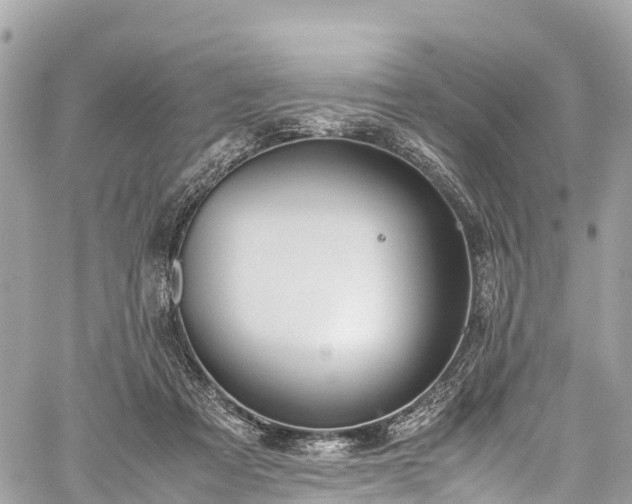 X0000059830313200510241428