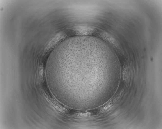 X0000059830314200510241428