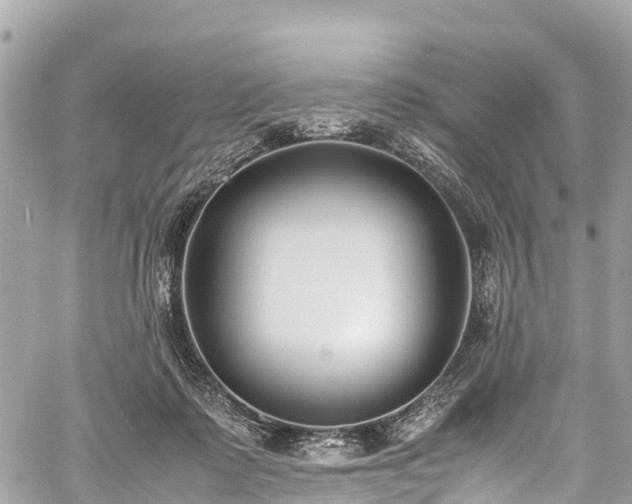 X0000059830315200510241428