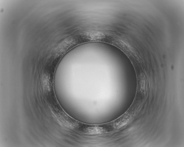 X0000059830316200510241428