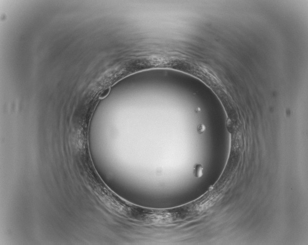 X0000059830317200510241427