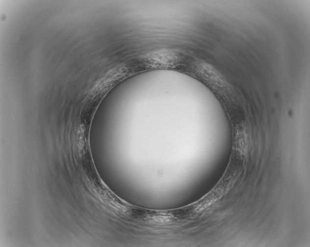 X0000059830318200510241427