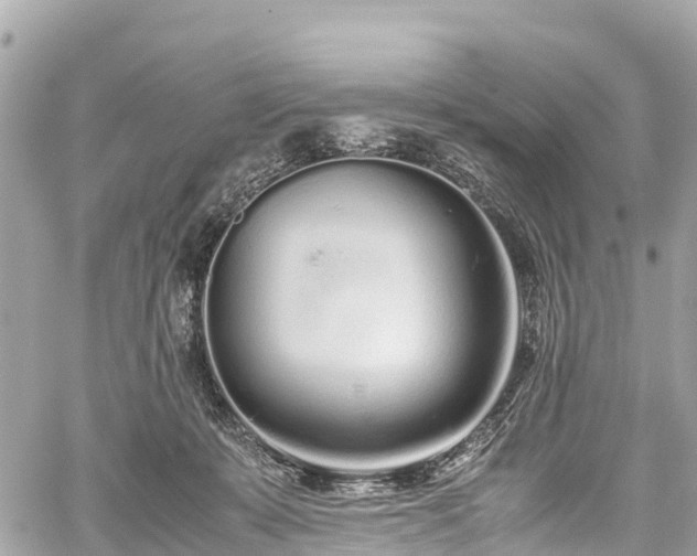 X0000059830319200510241427