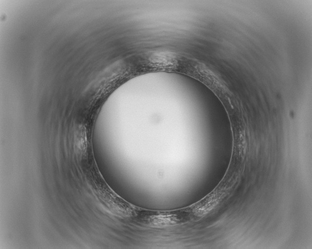 X0000059830320200510241427