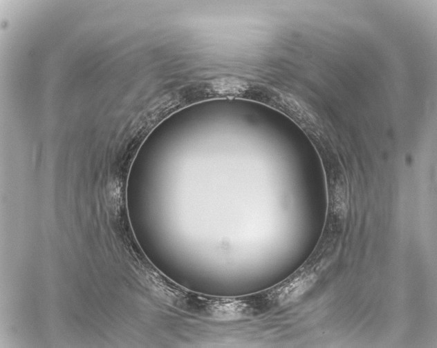 X0000059830321200510241427