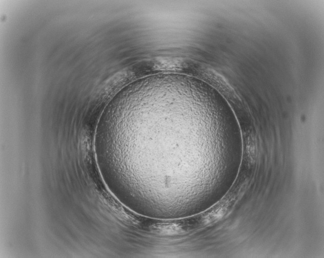 X0000059830322200510241427