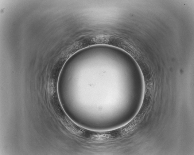 X0000059830323200510241427