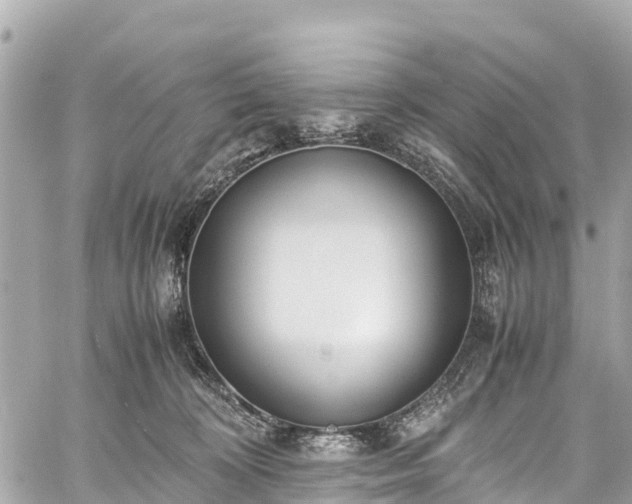 X0000059830324200510241427