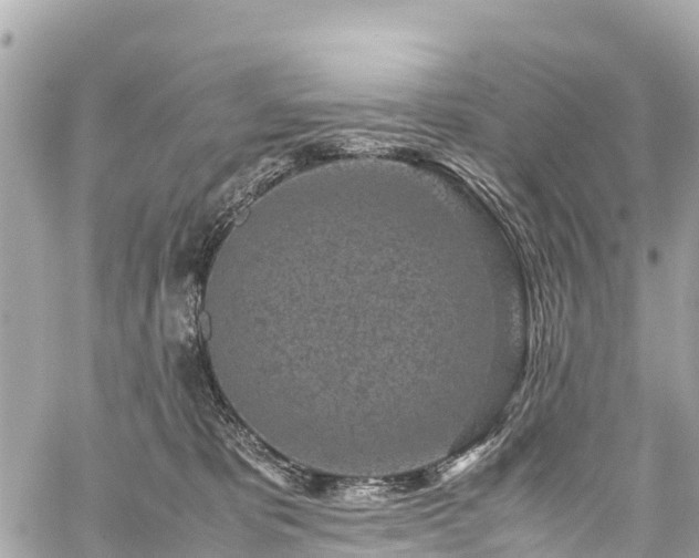 X0000059830325200510241427