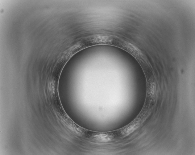 X0000059830326200510241427