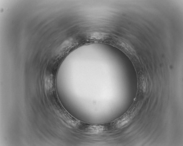 X0000059830328200510241427