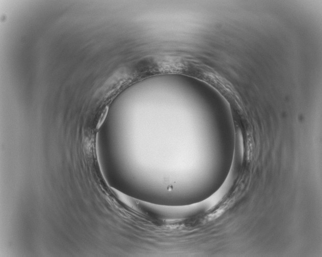 X0000059830329200510241427