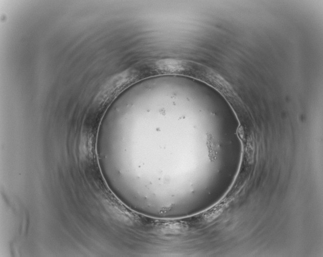 X0000059830330200510241427