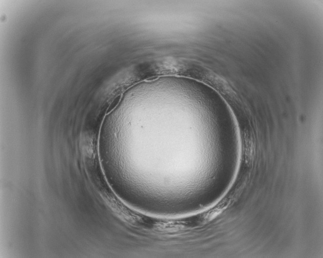 X0000059830331200510241427