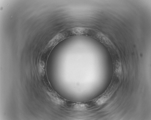 X0000059830332200510241427