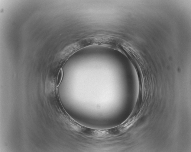 X0000059830333200510241427