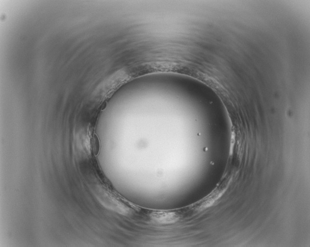 X0000059830334200510241427