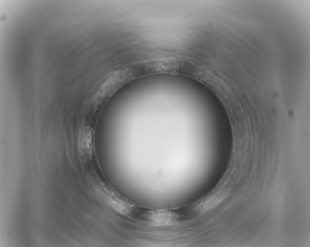 X0000059830336200510241427